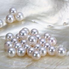 PL1158 담수진주 8.5-9mm